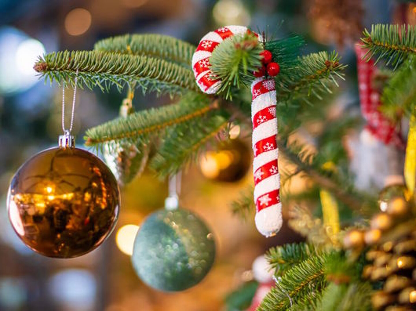 Boże Narodzenie w jurtach